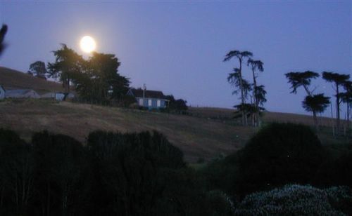 Point Reyes Vineyard Inn California City Eksteriør billede